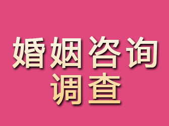 临安婚姻咨询调查