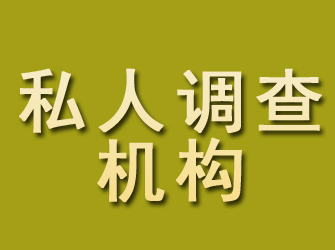 临安私人调查机构