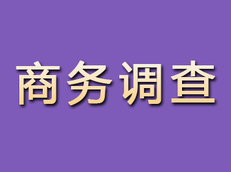 临安商务调查